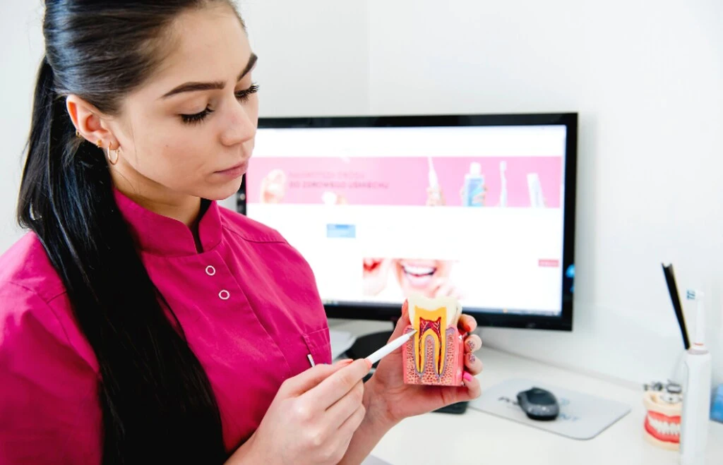 Higienistka stomatologiczna w PrecisDENT Centrum Implantologii i Stomatologii Mikroskopowej przedstawia na modelu zęba struktury zęba najbardziej podatne na kamień nazębny.