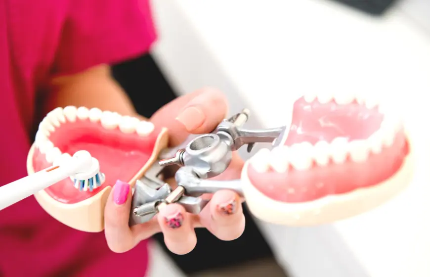 Instruktaż higieny jamy ustnej szczoteczką elektryczną na modelu z zębami w PrecisDENT Centrum Implantologii i Stomatologii Mikroskopowej w Jaśle.