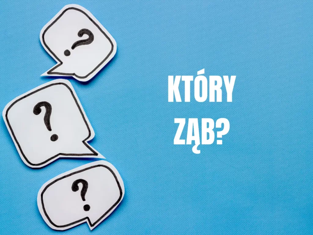 Grafika z pytaniem „Który ząb?” na niebieskim tle – znaczenie numeracji zębów w stomatologii.