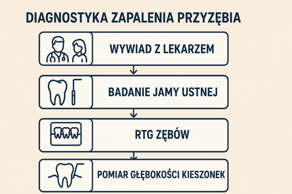 Schemat diagnostyki zapalenia przyzębia przedstawiający cztery etapy: wywiad z lekarzem, badanie jamy ustnej, RTG zębów oraz pomiar głębokości kieszonek.